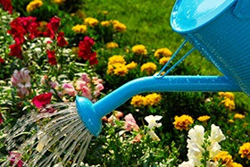 Wateri Saving Tips